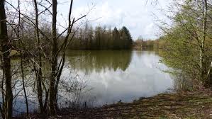 Image result for Seabrook Sea Anglers Association