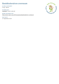 Attēlu rezultāti vaicājumam “Basidiodendron”