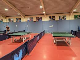 Image result for Kingfisher Reading Table Tennis Club