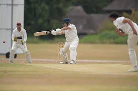 Image result for Ludlow & South Shropshire Cricket Club