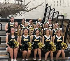 Image result for Hartlepool Hawks Cheerleading Academy