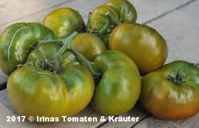 Afbeeldingsresultaat voor grubbs mystery green tomato