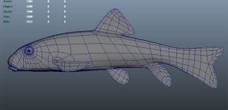 Image result for Catostomus commersonii