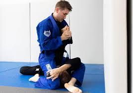 Image result for Red Rose Ju Jitsu Club