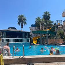 Image result for Maxwell Swimming Club