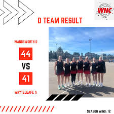 Image result for Wandsworth Netball Club