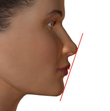 「カール・エドアルド・バイエルライン」の画像検索結果