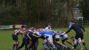 Image result for Diss Rugby Football Club