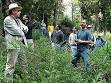 Forestry - Wikipedia, the free encyclopedia