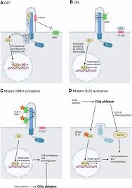 Image result for *X68CHer|http://www.bcpark.net/bbs/317697