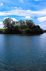 Image result for Reigate & District Angling Association