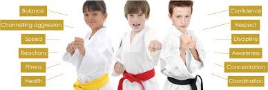 Image result for Haslemere Karate Club