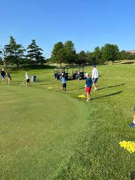 Image result for Plymouth Swallows Gc