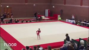 Image result for Tamworth Olympic Gymnastics Club