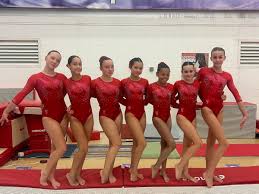 Image result for City Of Liverpool Gymnastics Club