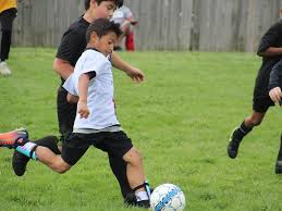 Image result for Cass Sports Northstars