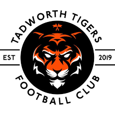 Image result for Tadworth Athletic Club