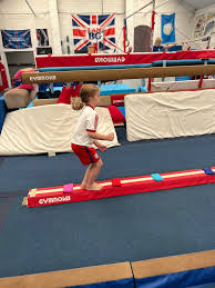 Image result for Brumby Gymnastics Club