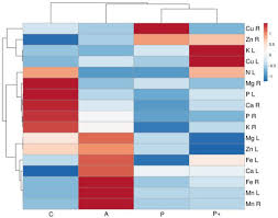 Attēlu rezultāti vaicājumam “Saussurea esthonica leaf”