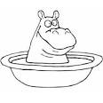 Hippo coloring page