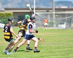 Image result for Sean Treacy`s Hurling Club