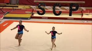 Image result for Sports Acro
