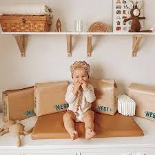 Attēlu rezultāti vaicājumam “Diaperis boleti nest”