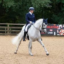Image result for Elstead Riding Club