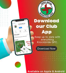 Image result for Lisnaskea Emmetts Gfc