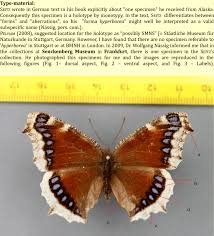 Attēlu rezultāti vaicājumam “Nymphalis antiopa”