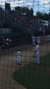 Image result for Braveheart Fencing