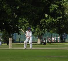 Image result for Cranleigh St Andrews Cricket Club