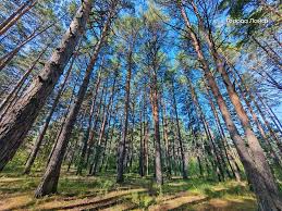 Image result for Приметы