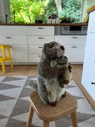 「くわばらぽてち」の画像検索結果