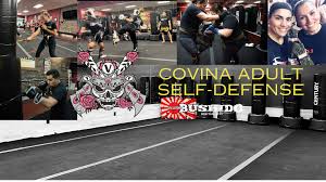 Image result for Villatoro Bushido Martial Arts