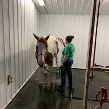 Image result for Cliff Hatch Stables