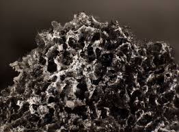 Attēlu rezultāti vaicājumam “Fuligo cinerea”