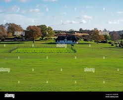Image result for Forest Green Cricket Club