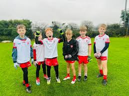 Image result for Cardinal O`donnell Gac