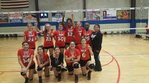 Image result for Chesterfield Cobras Volleyball Club