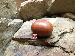 Afbeeldingsresultaat voor marizol purple tomato