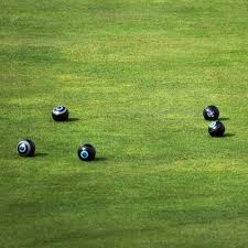 Image result for Little Weighton Bowls Club