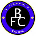 Image result for Blackwood Town Cricket Club