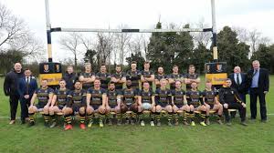 Image result for Ipswich Rfc