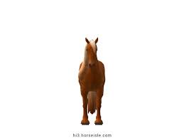 Image result for chestnut friesian