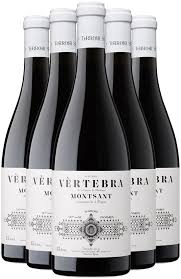 Image result for geografs sense fronteres