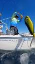 Pisces Sportfishing Cabo | Bait ball Yellowfin Tuna frenzy on ...