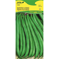 Image result for Buschbohnen