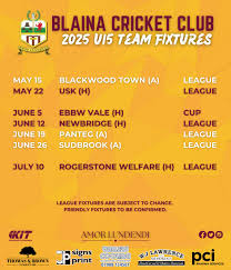 Image result for Blackwood Town Cricket Club