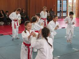 Image result for Holbrook Judo Club